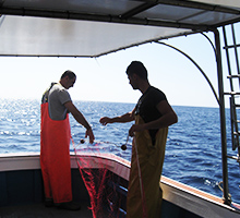 La Flotta - Teulada Pesca  Turismo