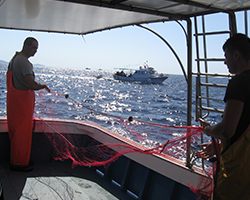 Addio al celibato e al nubilato - Sardegna Pesca e Turismo