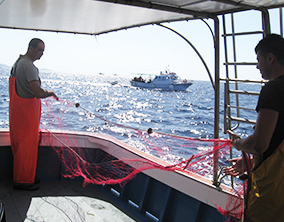 Gira le coste di Teulada in Sardegna